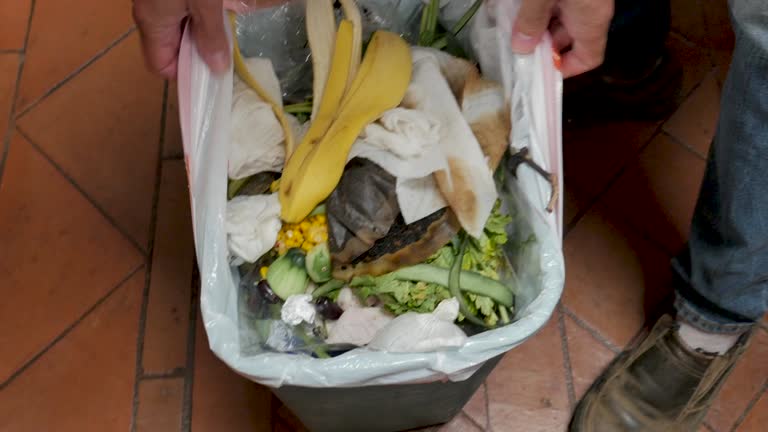Best Garage Cleanout  in Port Jefferson, NY